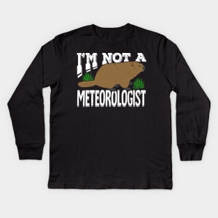 Groundhog Woodchuck Meteorology Meteorologist Gift Kids Long Sleeve T-Shirt